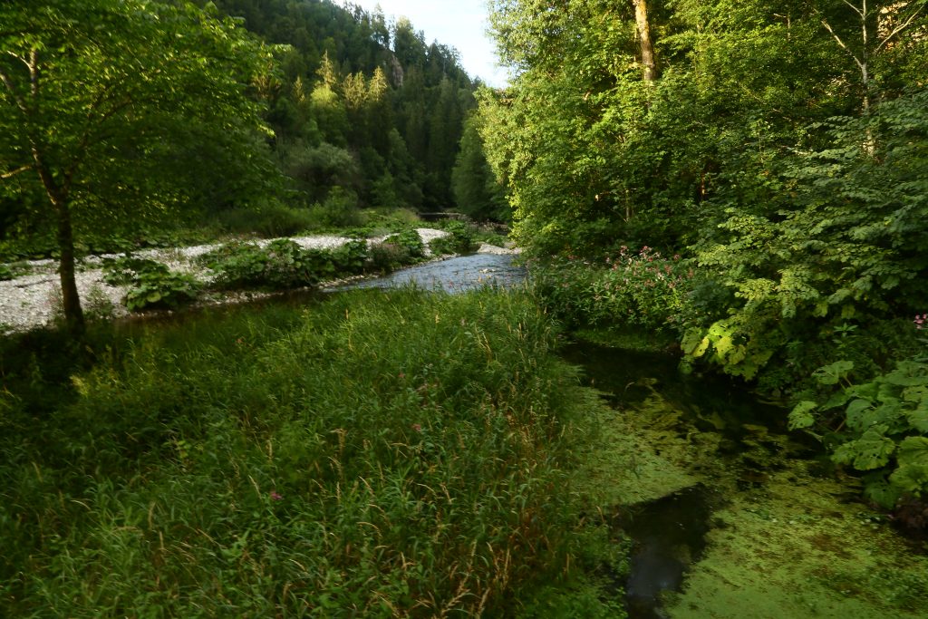 Gorge de la Wutach