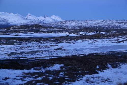 NH3A0446